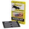 Tomcat 32420 Mouse Glue Boards - 4 Pack 2 Tomcat 32420 Mouse Glue Boards - 4 Pack -Home Tools Sales 2024 10840252 1