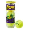 Penn Court One Tennis Balls -Home Tools Sales 2024 13160001 1