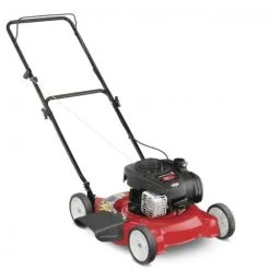 Yard Machines 20 in. 125 cc OHV Briggs & Stratton Gas Walk Behind Push Mower