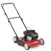 Yard Machines 20 in. 125 cc OHV Briggs & Stratton Gas Walk Behind Push Mower -Home Tools Sales 2024 1371685