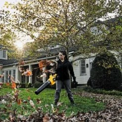 DeWalt 60V MAX* FLEXVOLT® Brushless Handheld Axial Blower -Home Tools Sales 2024 13951577 2 1