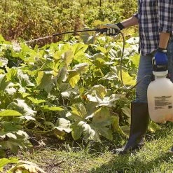 Sevin Insect Killer Concentrate 32 oz -Home Tools Sales 2024 18480104 4 1