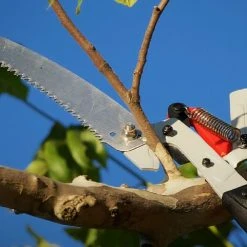 Corona DualLINK™ Tree Saw and Pruner - 14 ft -Home Tools Sales 2024 19 ctc 2735 amazon a content tp 4214 02 panel2 1