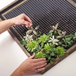 Garden Craft 36" x 5" Galvanized Hardware Cloth Fence, 1/2" Square -Home Tools Sales 2024 19000017 4 1