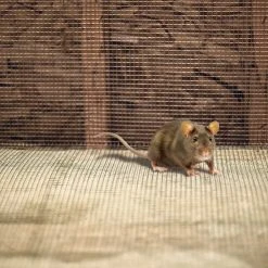 Garden Craft 36" x 5' Galvanized Hardware Cloth Fence, 1/8" Square -Home Tools Sales 2024 19000022 4 1