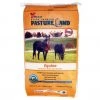 X-Seed 25lb Equine Pastures Grass Seed