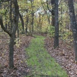 X-Seed Trail Mix Shake N'Spread - 7 lb 7 X-Seed Trail Mix Shake N'Spread - 7 lb -Home Tools Sales 2024 28830005 3