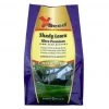 X-Seed Shady Lawn Grass Seed 1 X-Seed Shady Lawn Grass Seed -Home Tools Sales 2024 28830415 1