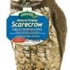 Dalen 16" Great Horned Owl -Home Tools Sales 2024 3180078 1