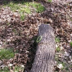 Timber Tuff Log Choker Cable -Home Tools Sales 2024 39610393 2 1