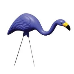 Bloem Flamingo Merica 3 Pack -Home Tools Sales 2024 44060020 3 1