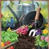 Creek Side Soils All Purpose Supreme Gardenerās Mix 1 Creek Side Soils All Purpose Supreme Gardenerās Mix -Home Tools Sales 2024 554 1supremegardnersmix