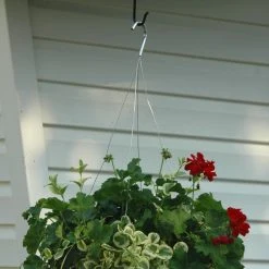 The Hookery 8 inch S Hook - 90 Degree -Home Tools Sales 2024 60790031 2 1