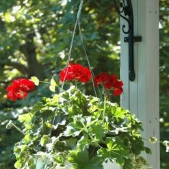 The Hookery Heavy Duty Downturn Curved w/Vine, Green -Home Tools Sales 2024 60790035 2 1