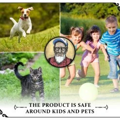 Grandpa Gus's 4 Pack Mouse Repellent -Home Tools Sales 2024 66310001 3 2