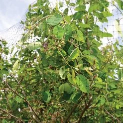 Quest Better Barrier Bird Netting 14 feet x 14 feet -Home Tools Sales 2024 7010048 2 1