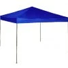 WFS 10' x 10' Blue Canopy -Home Tools Sales 2024 72240013 1