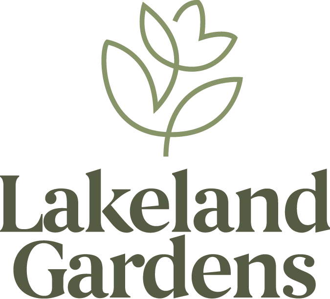 Home Tools Sales 2024