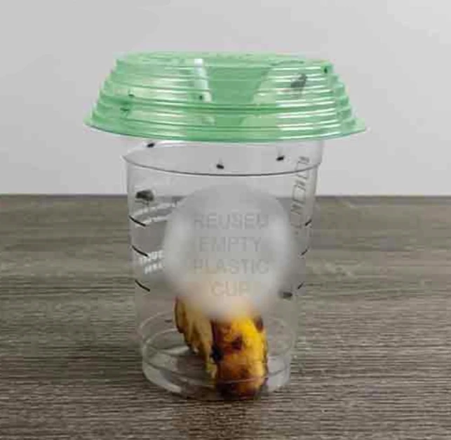 Fly-Lid Turn Almost Any Cup Into A Fly Trap (2-Pack) Fly-Lid Turn Almost Any Cup Into A Fly Trap (2-Pack) -Home Tools Sales 2024 79370001 1 1