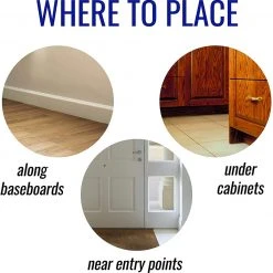 Terro Liquid Ant Killer II, 1 oz, Pack of 1 7 Terro Liquid Ant Killer II, 1 oz, Pack of 1 -Home Tools Sales 2024 81ulwwz lyl. ac sl1500