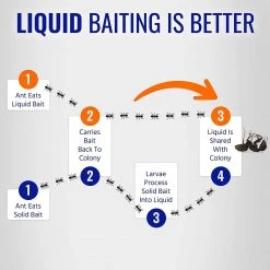 Terro Liquid Ant Killer II, 1 oz, Pack of 1 9 Terro Liquid Ant Killer II, 1 oz, Pack of 1 -Home Tools Sales 2024 81vesjksbzl. ac sl1500