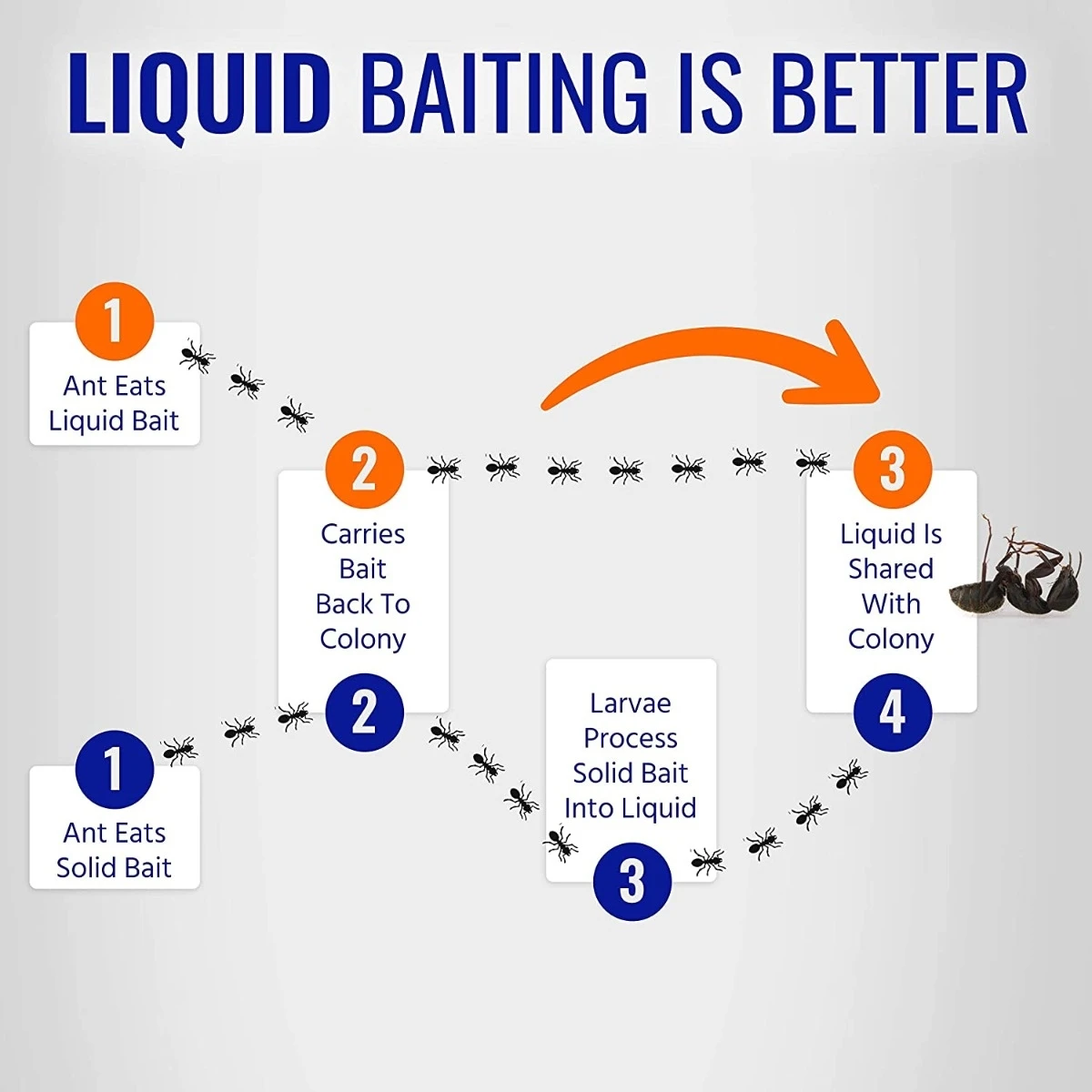 Terro Liquid Ant Killer II, 1 oz, Pack of 1 Terro Liquid Ant Killer II, 1 oz, Pack of 1 -Home Tools Sales 2024 81vesjksbzl. ac sl1500