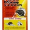 PIC Glue Rat / Mouse Boards, 2-Pack 1 PIC Glue Rat / Mouse Boards, 2-Pack -Home Tools Sales 2024 9010005 1