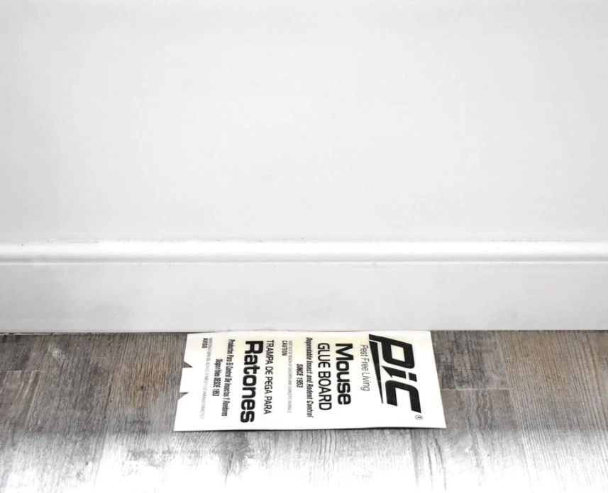 PIC Glue Mouse Board, 4-Pack PIC Glue Mouse Board, 4-Pack -Home Tools Sales 2024 9010007 1 1