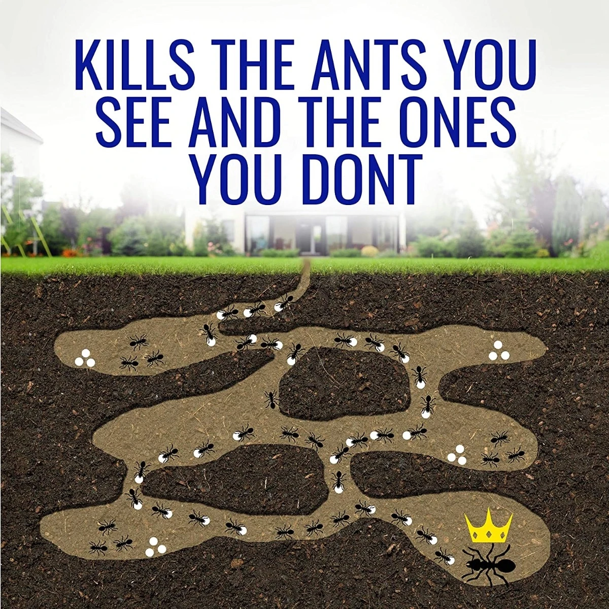 Terro Liquid Ant Killer II, 1 oz, Pack of 1 Terro Liquid Ant Killer II, 1 oz, Pack of 1 -Home Tools Sales 2024 a143acpecll. ac sl1500