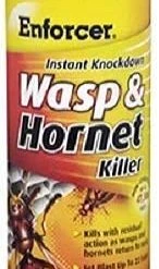Instant Knockdown Wasp & Hornet Killer – 16 oz