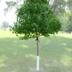 Nelson Plastics Corrugated Tree Guard -Home Tools Sales 2024 tree staking kit 1